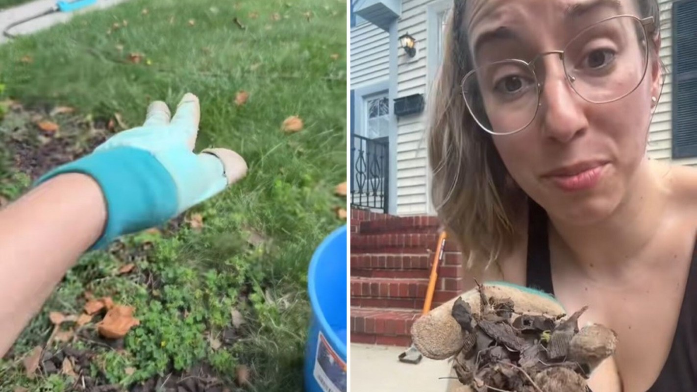 "There’s no benefits."