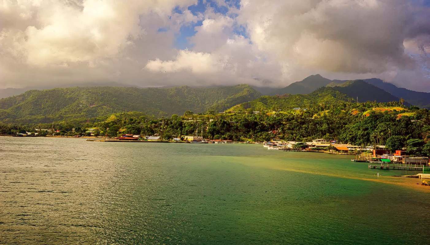 It has traits that mark it as a unique evolutionary branch.