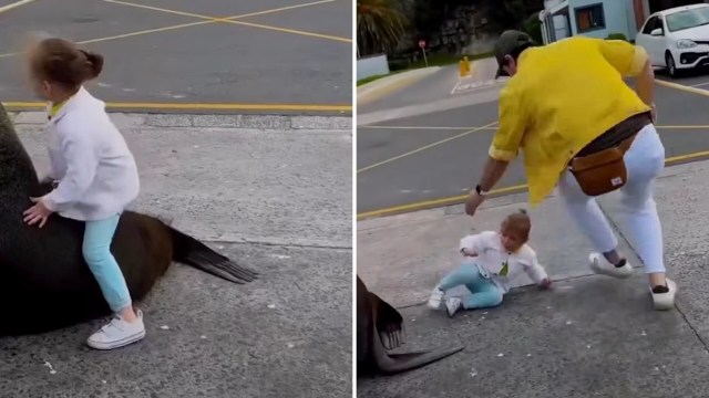 "What did they expect?"