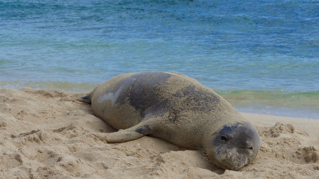 "Can ... put you at risk, too."