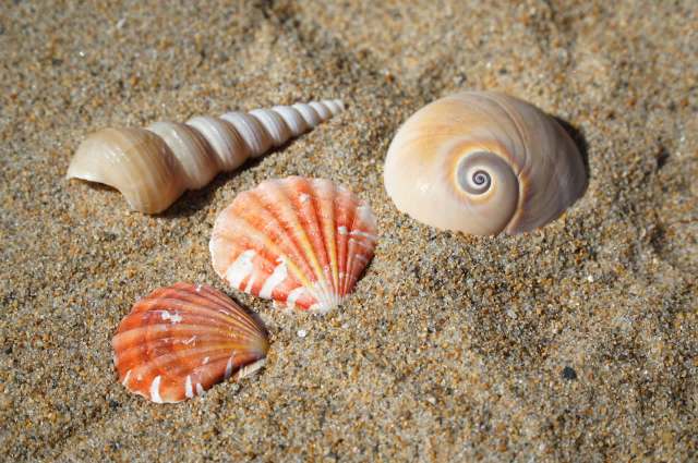 "A sustainable path to consistent performance."