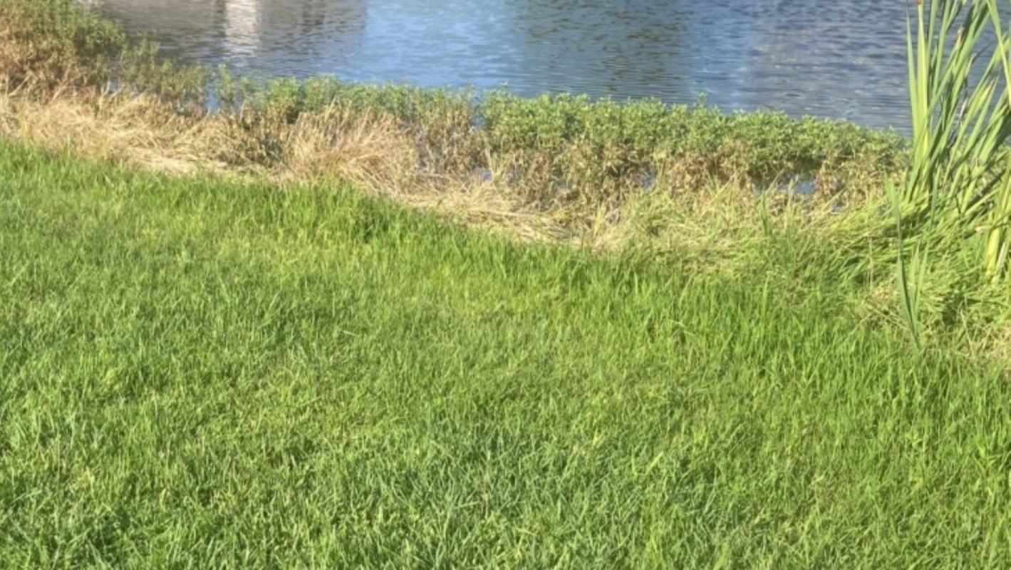 "It’s wrong for every reason you suspect."