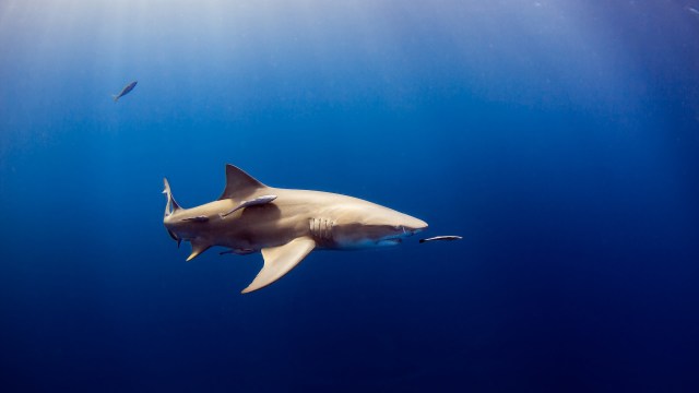 "This study underscores the power of citizen science."