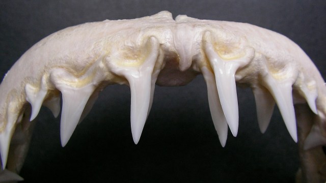 "We were surprised."