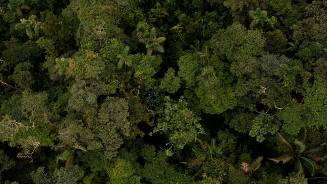 "How can people not feel bad?"