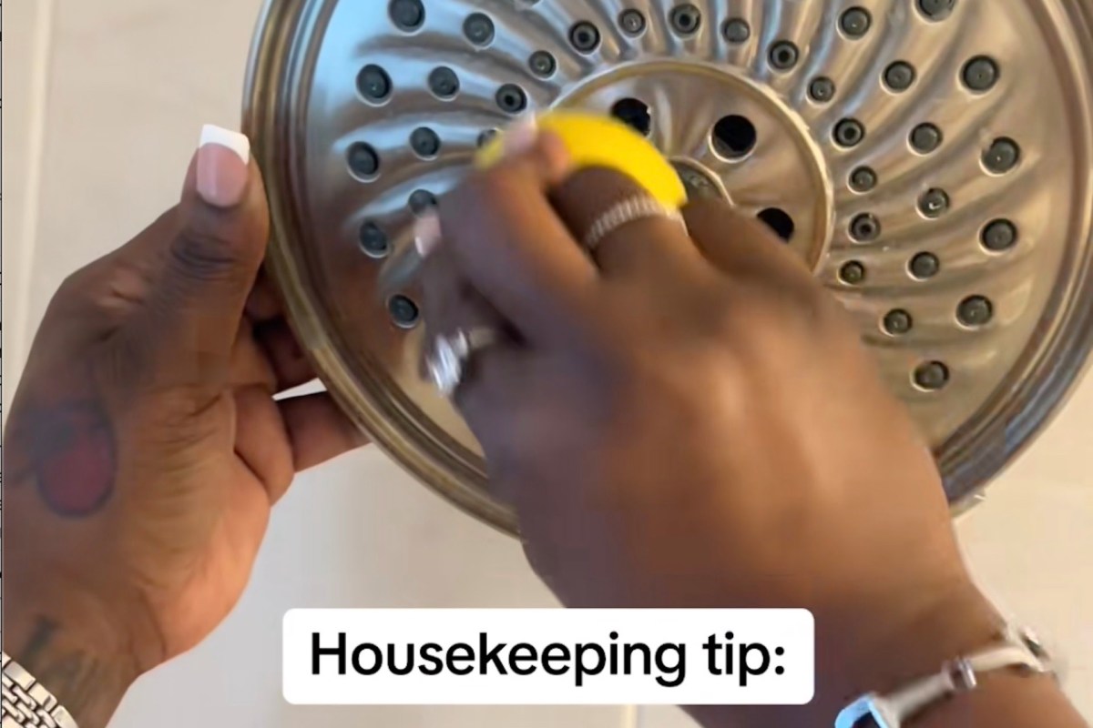 "This is why I love TikTok!"