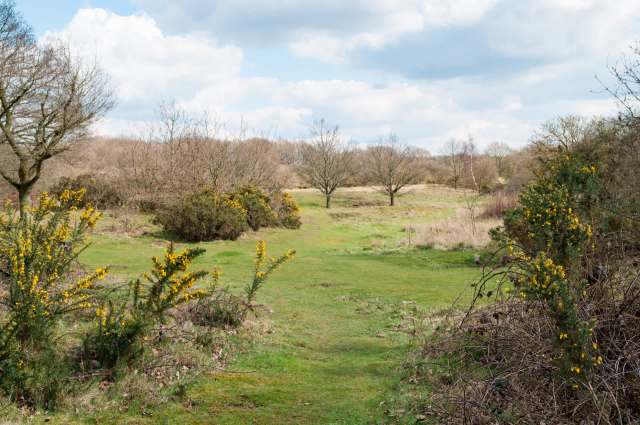 "Shows what's possible."