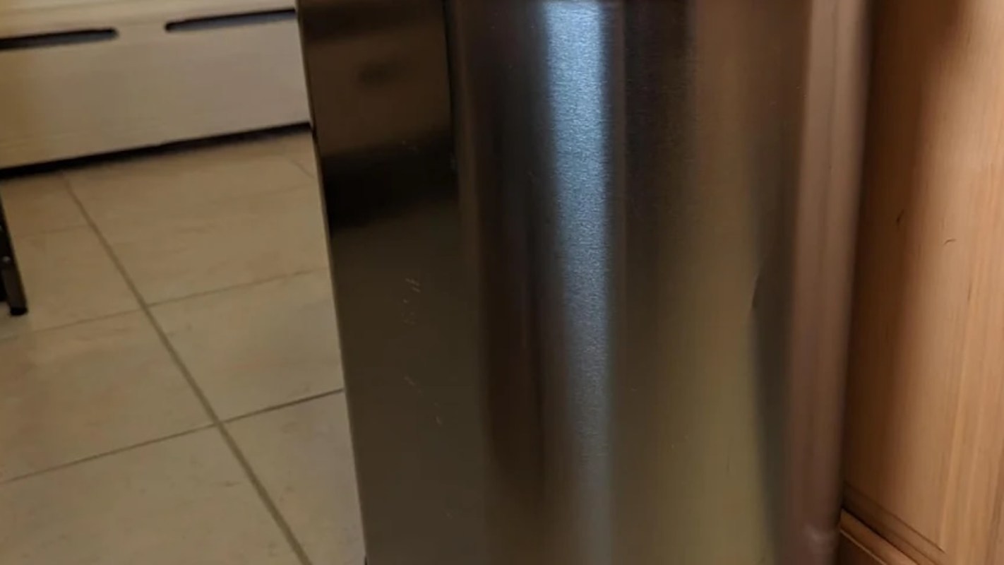 "My boyfriend and I were driving somewhere yesterday and he hit the brakes, pointed, and yelled."