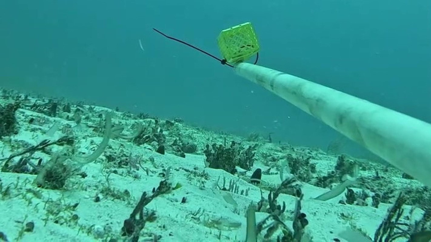 "Not only is it a new record for the region, but it also highlights how much we still have to learn."