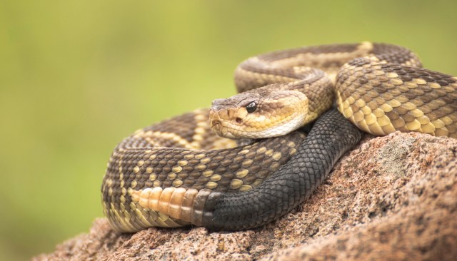 "They're more afraid of you than you are of them."