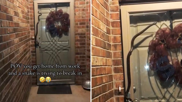 "I legit would contemplate moving."