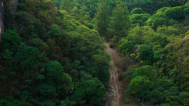 "Such changes may increase human-snake interactions."