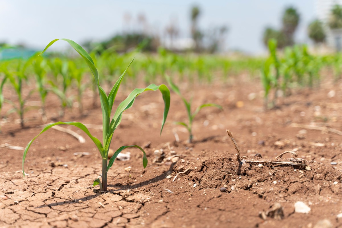 "We have shown that the tool works."