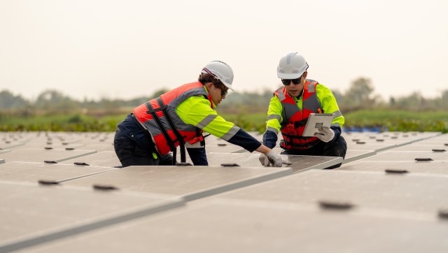 "Rolled out at record speed."