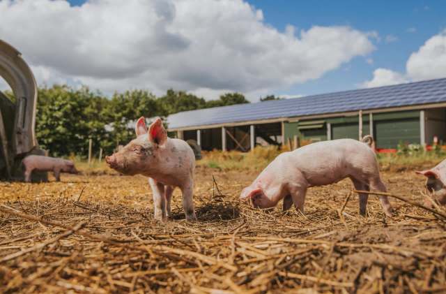 "I thought it would be a great opportunity."