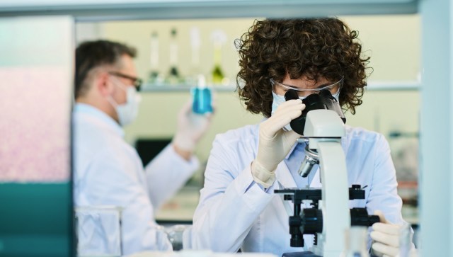 "It's hard to imagine one company capturing that whole market."