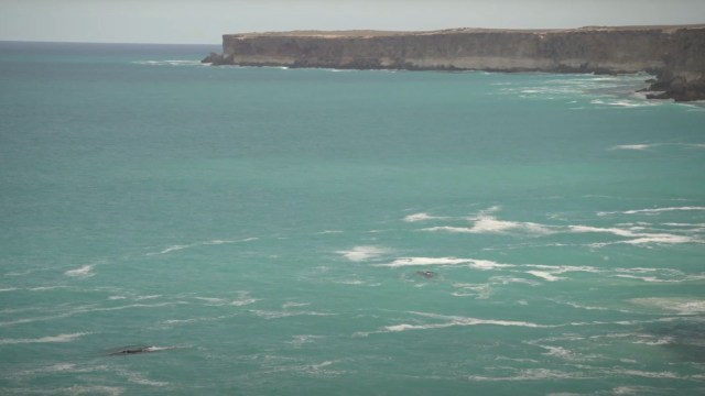 "We are eagerly anticipating a bumper year."