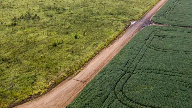 "We’ll keep fighting."