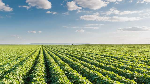 "We desperately need to get something rectified quickly."