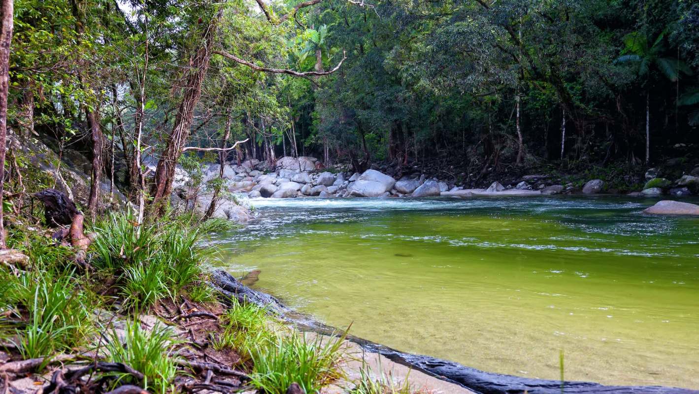 "The problems they cause can be managed."