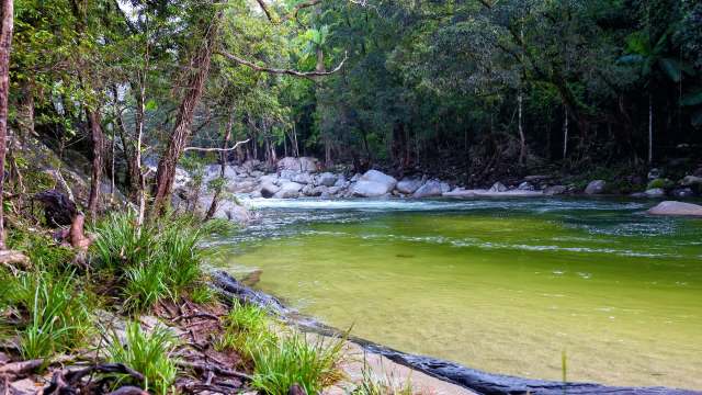 "The problems they cause can be managed."