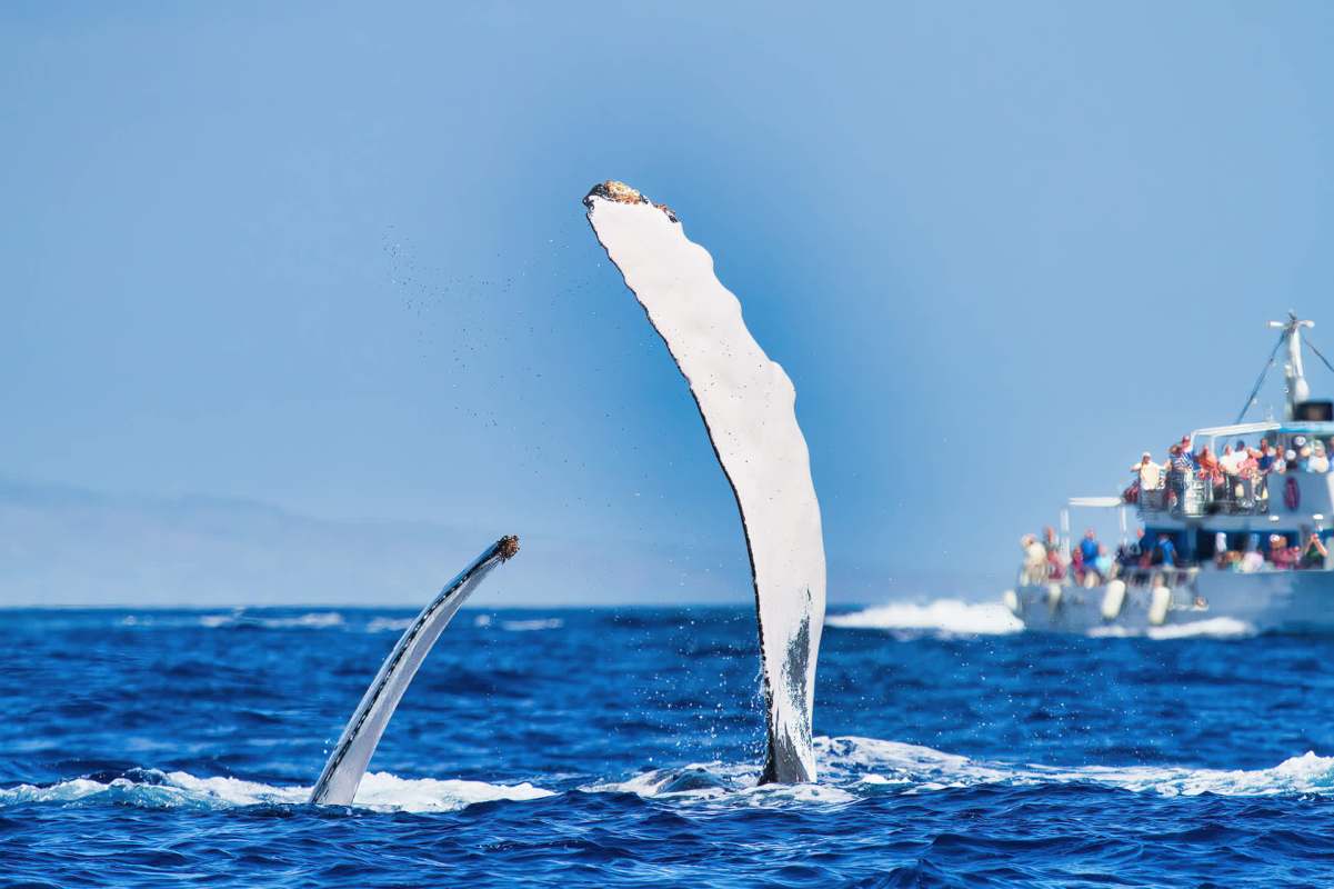 "Definitely would have cried if I was there."