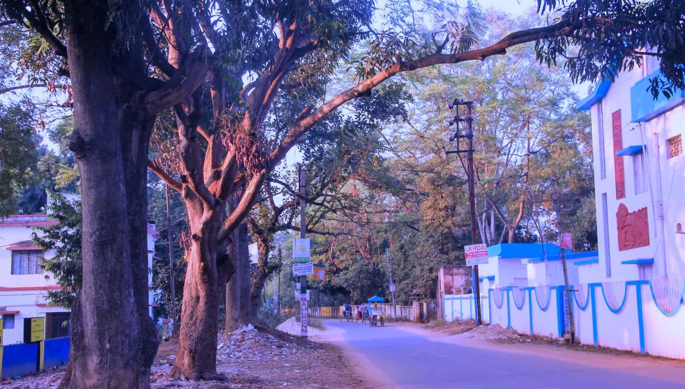 Trail cameras and a network of tracking tunnels helped rangers pinpoint the intruder.