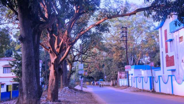 Trail cameras and a network of tracking tunnels helped rangers pinpoint the intruder.