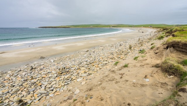 "This is the new normal."