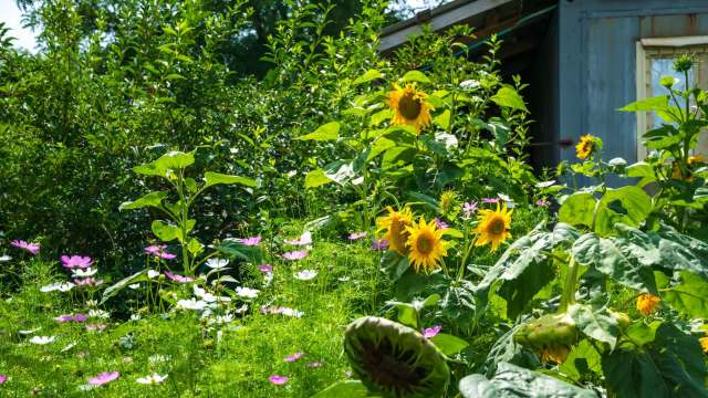 "I take care ... to make sure it's not an issue with neighbors."
