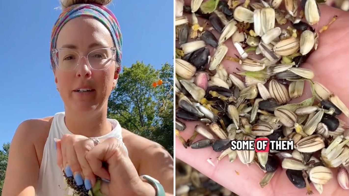 "This is one of my favorite fall activities!"