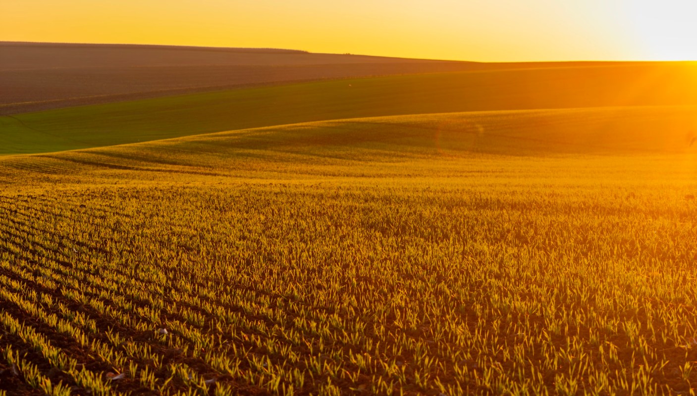 "AI-assisted crop design."