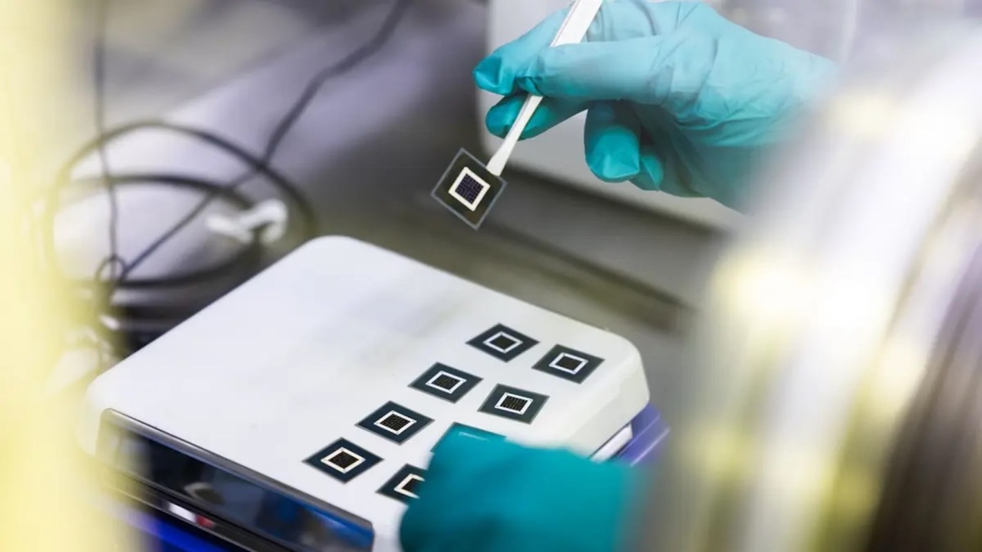 "It enhances our understanding of the processes."