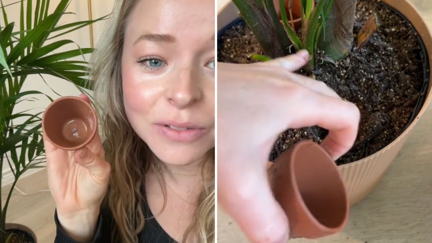 "Indigenous people have been doing this forever."