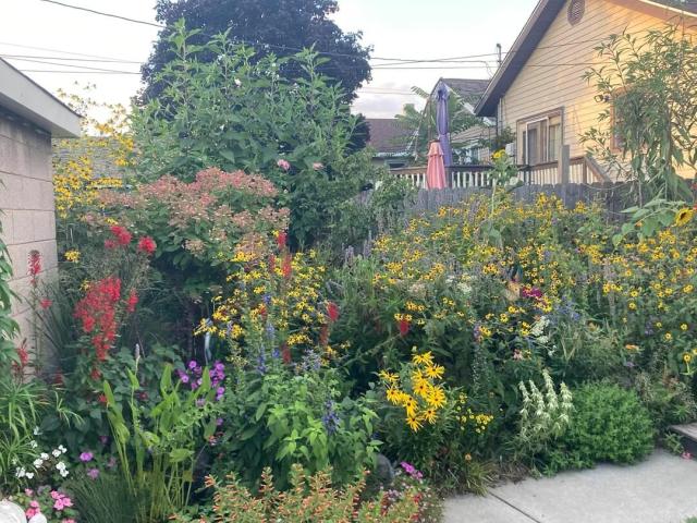 "I'm sure the wildlife thanks you."