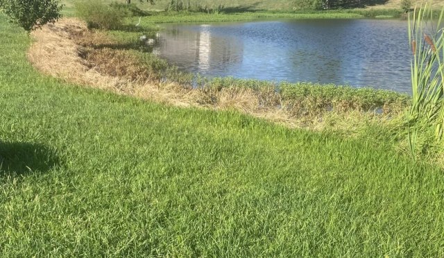 "It's wrong for every reason you suspect."