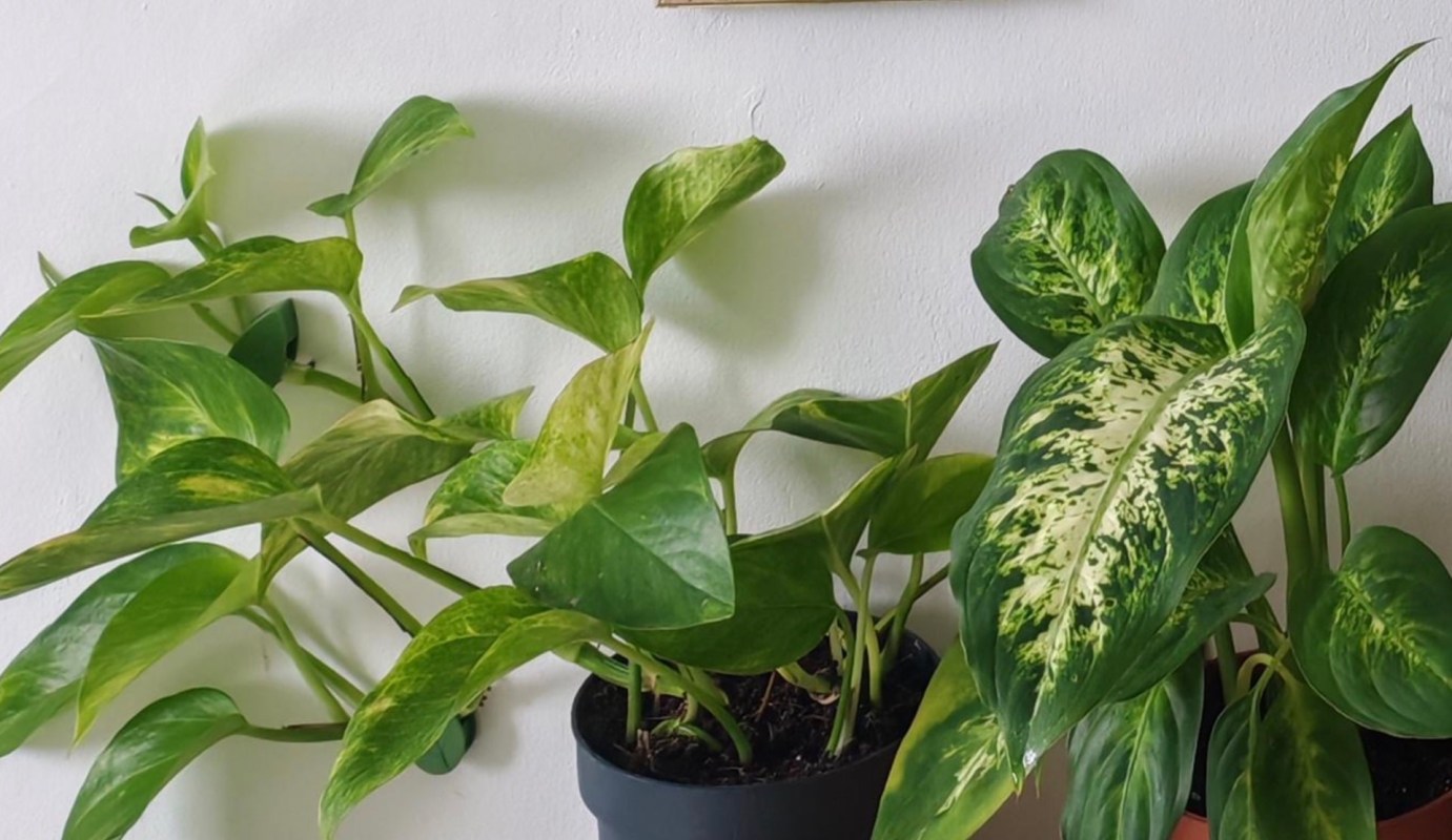 Buying secondhand reduces the demand for new items.