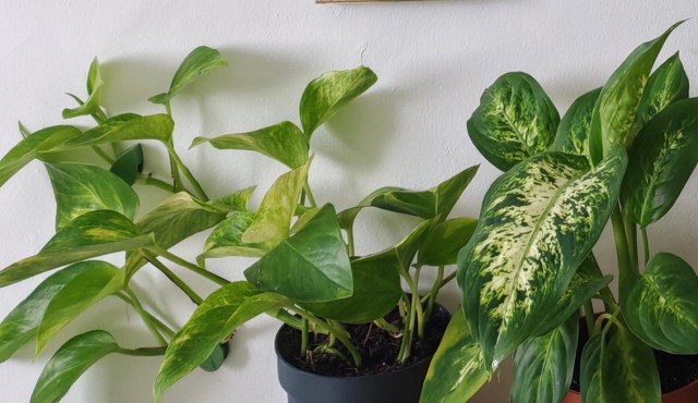 Buying secondhand reduces the demand for new items.