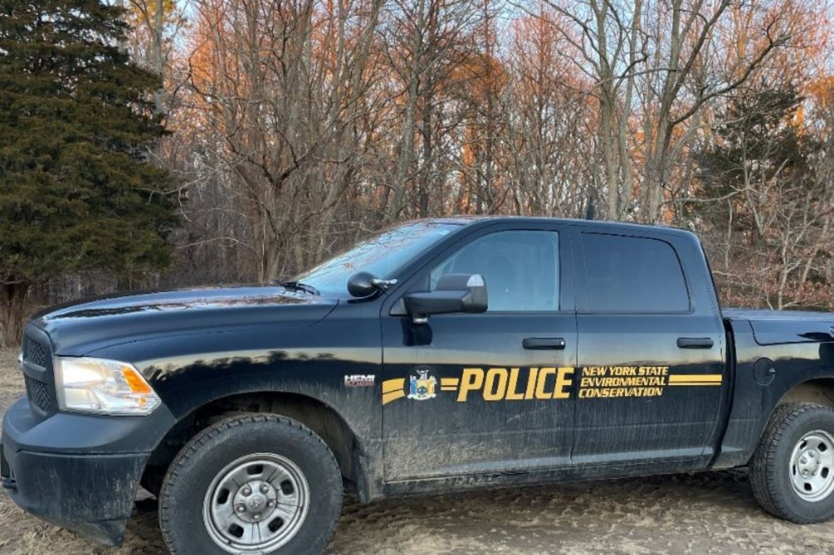 Poisonous snakes can cause significant harm to people and pets if they bite.