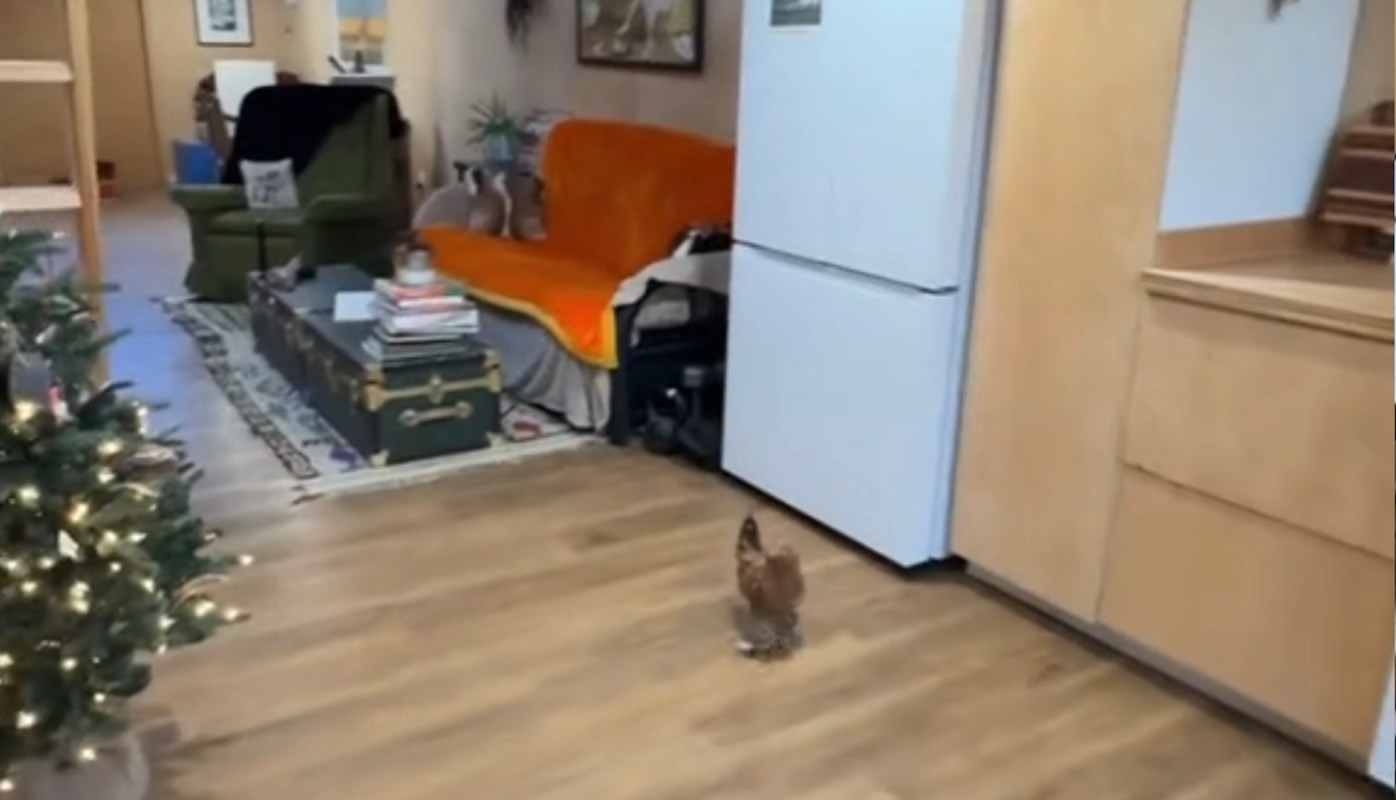 "That’s beautiful."