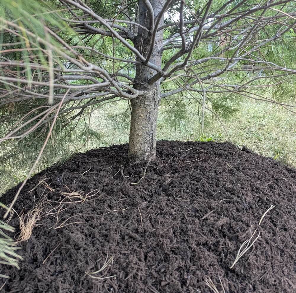 "Most people here will question whether you're trolling us/baiting us."