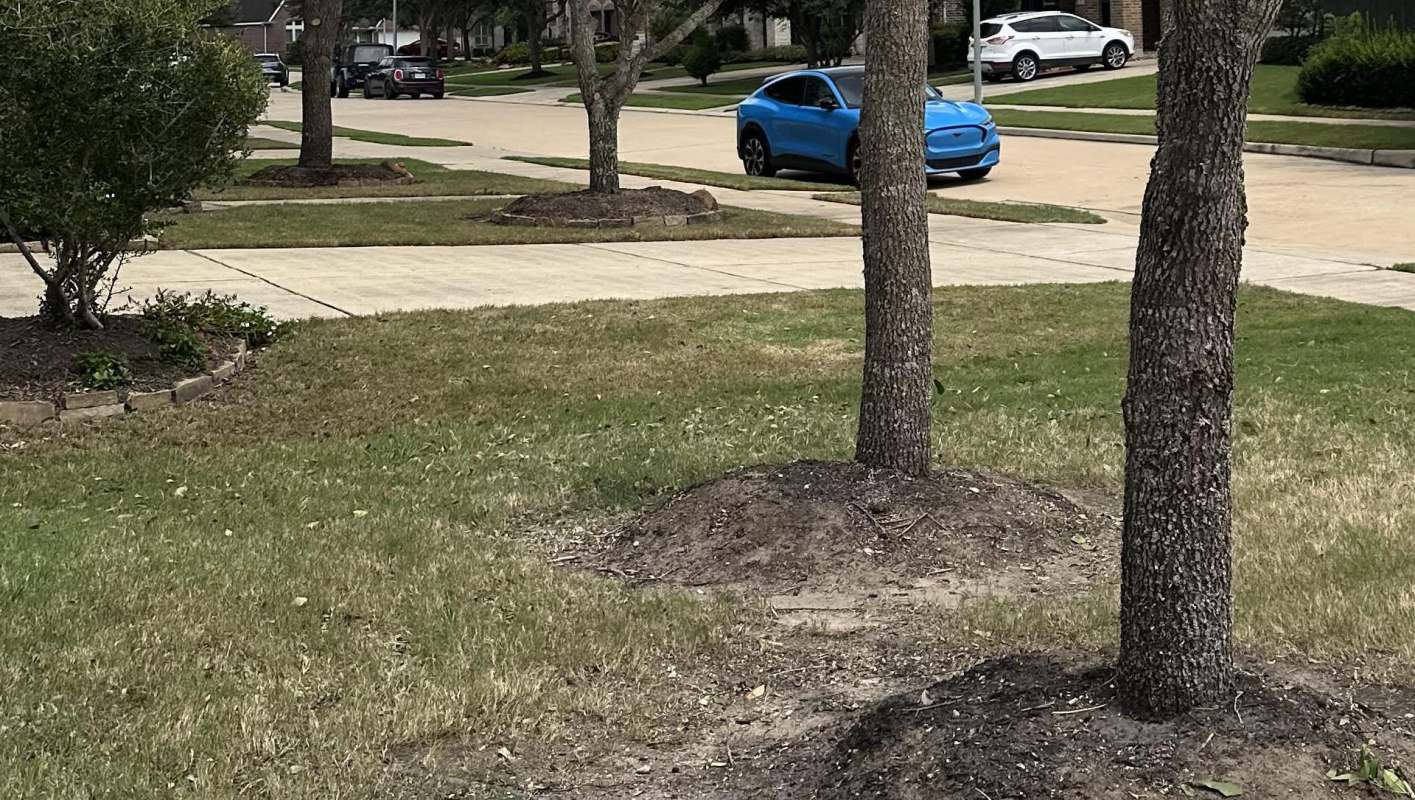 "Need advice on next steps."