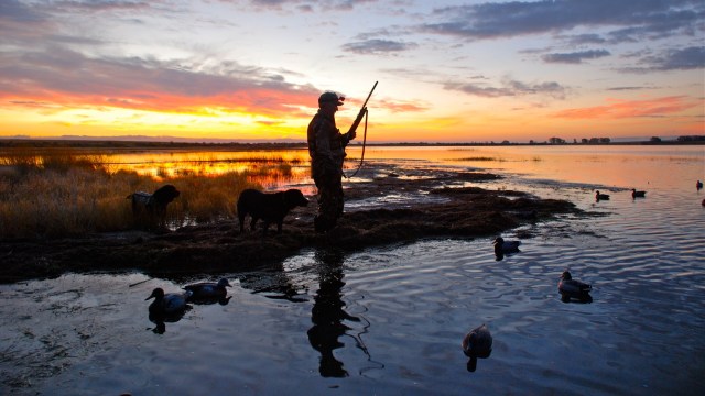 It’s hard to overstate what a huge win this is.