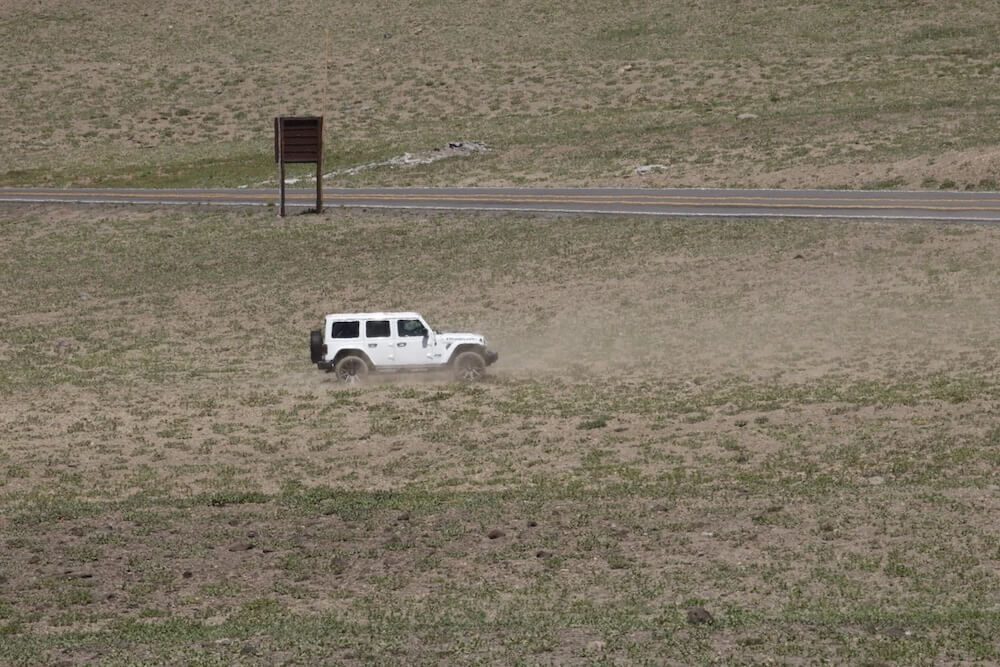 "Too many people ... act like they just got let out outside for the first time."