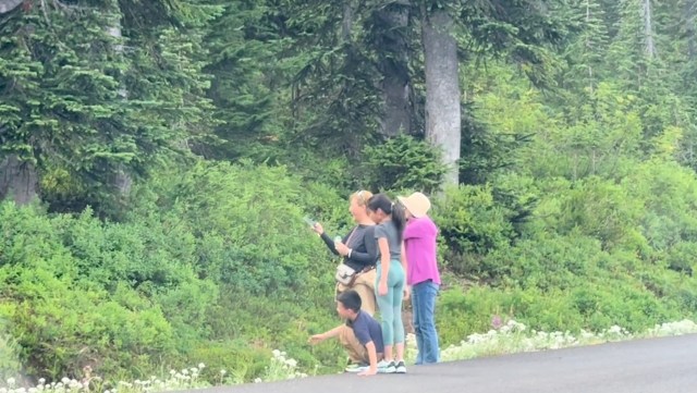 Parkgoers should follow signage and staff guidance.