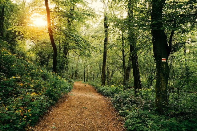 "You're an inspiration."