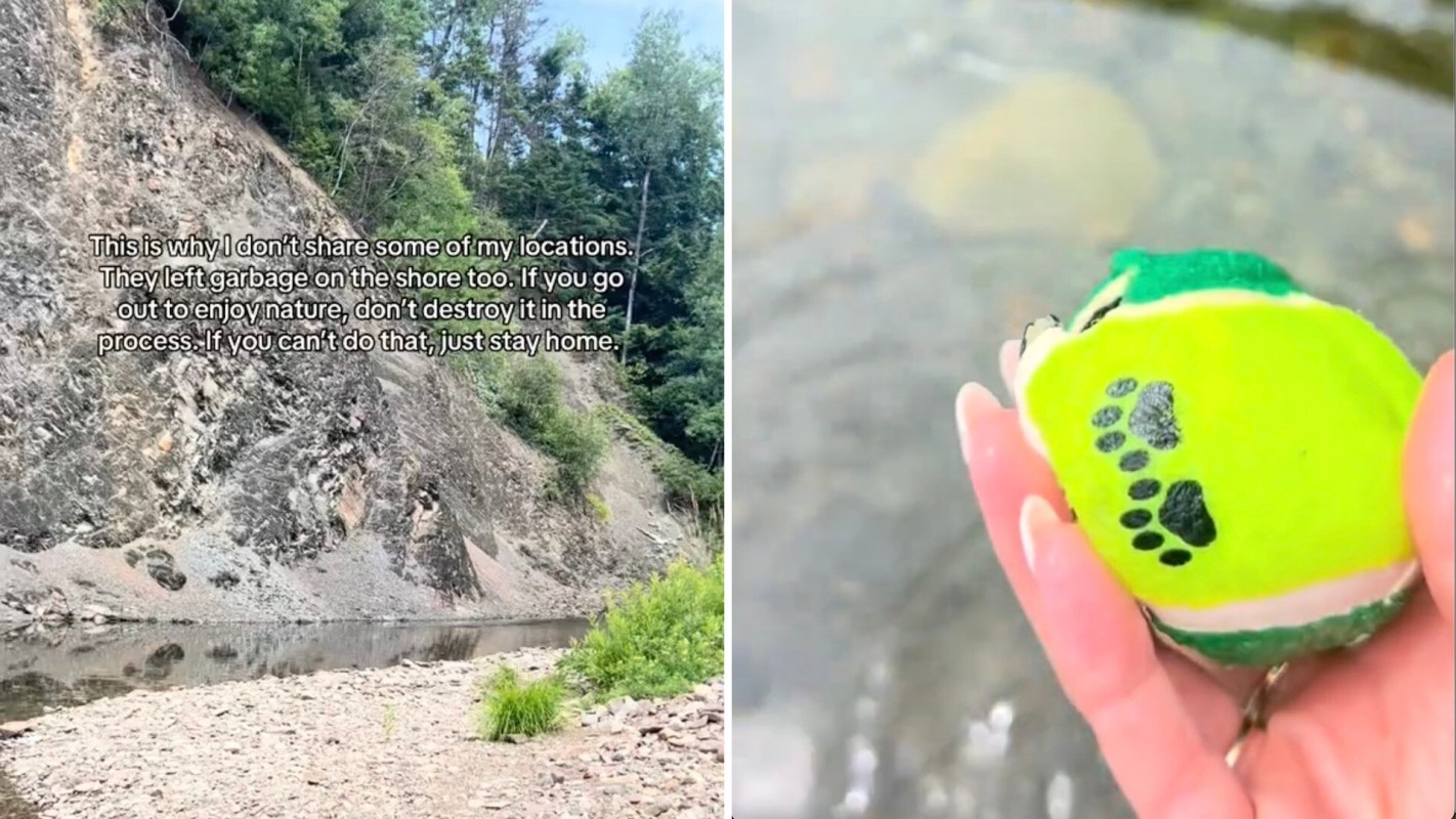 "It just takes one to ruin it for everyone."