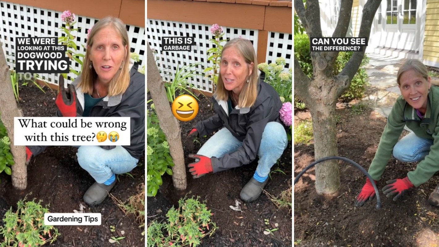 "Thank you for this!"