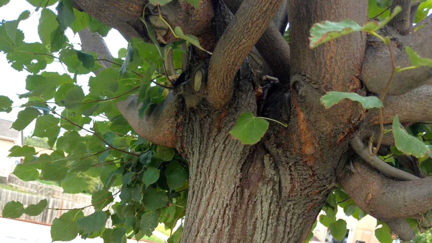 Reddit users had a lot to say.