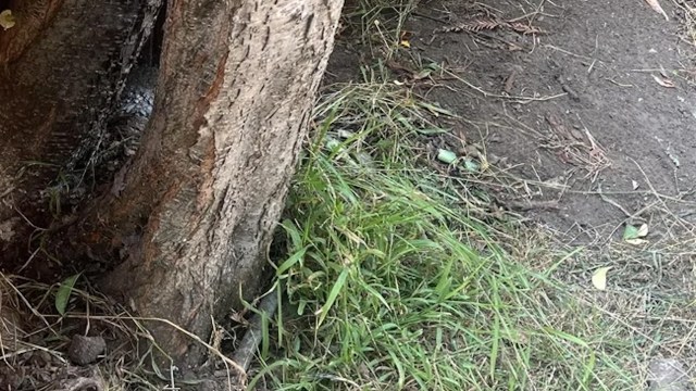 "Make sure you know what you want before you begin negotiating."